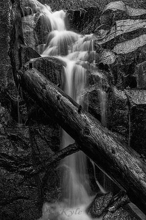 SMR-1037 B&W